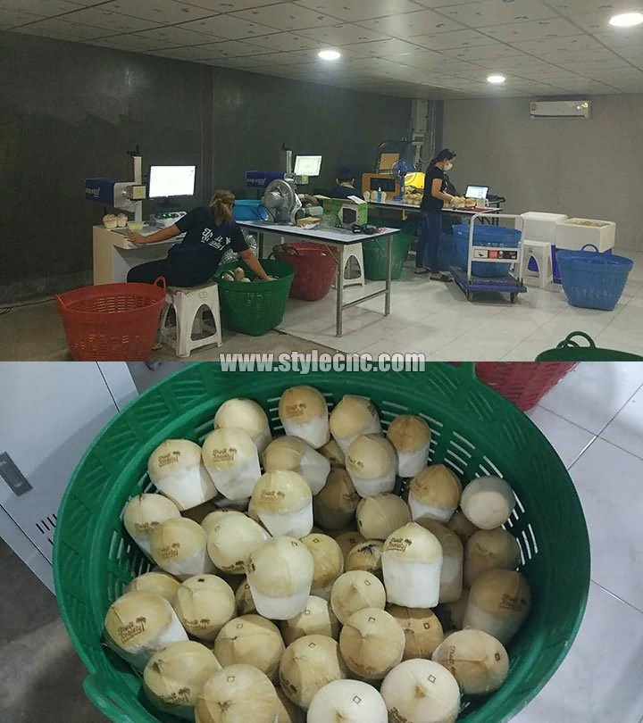 泰國椰子激光雕刻機(jī)