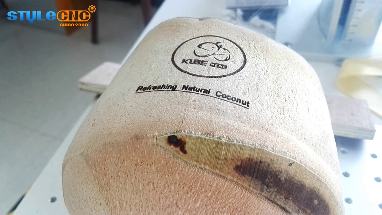 3套 CO2 美國 Galvo 激光雕刻機用于椰子